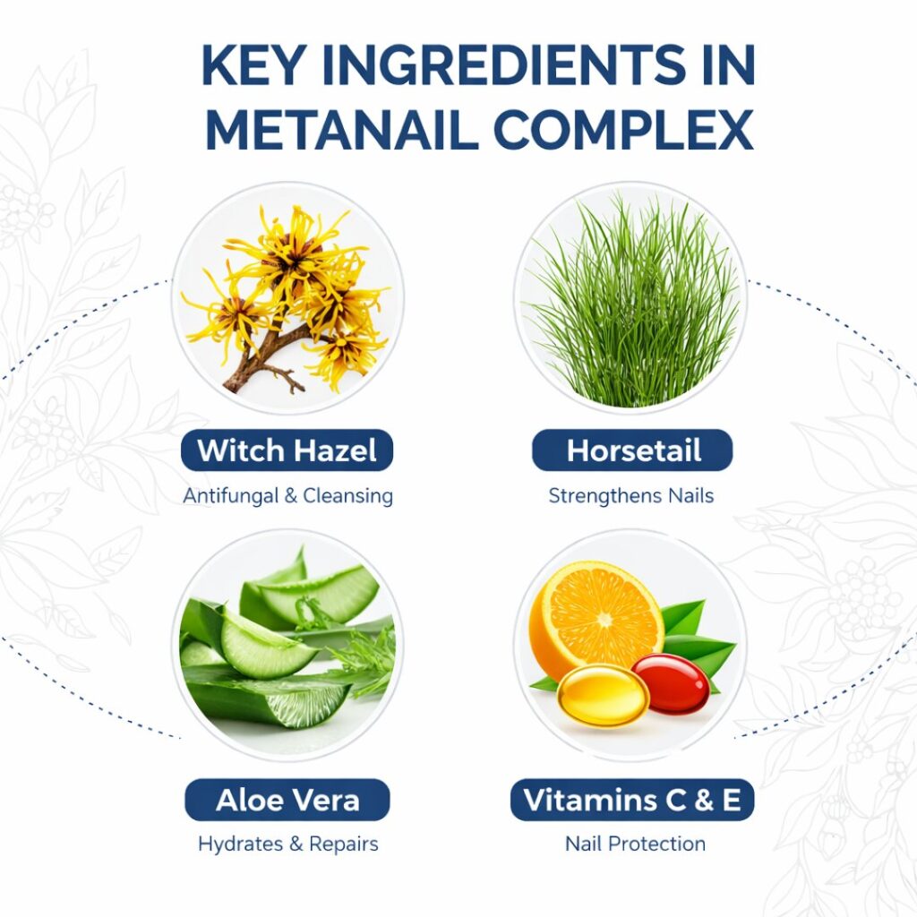 Metanail Complex ingredients infographic showing witch hazel, horsetail extract, aloe vera and vitamin E benefits