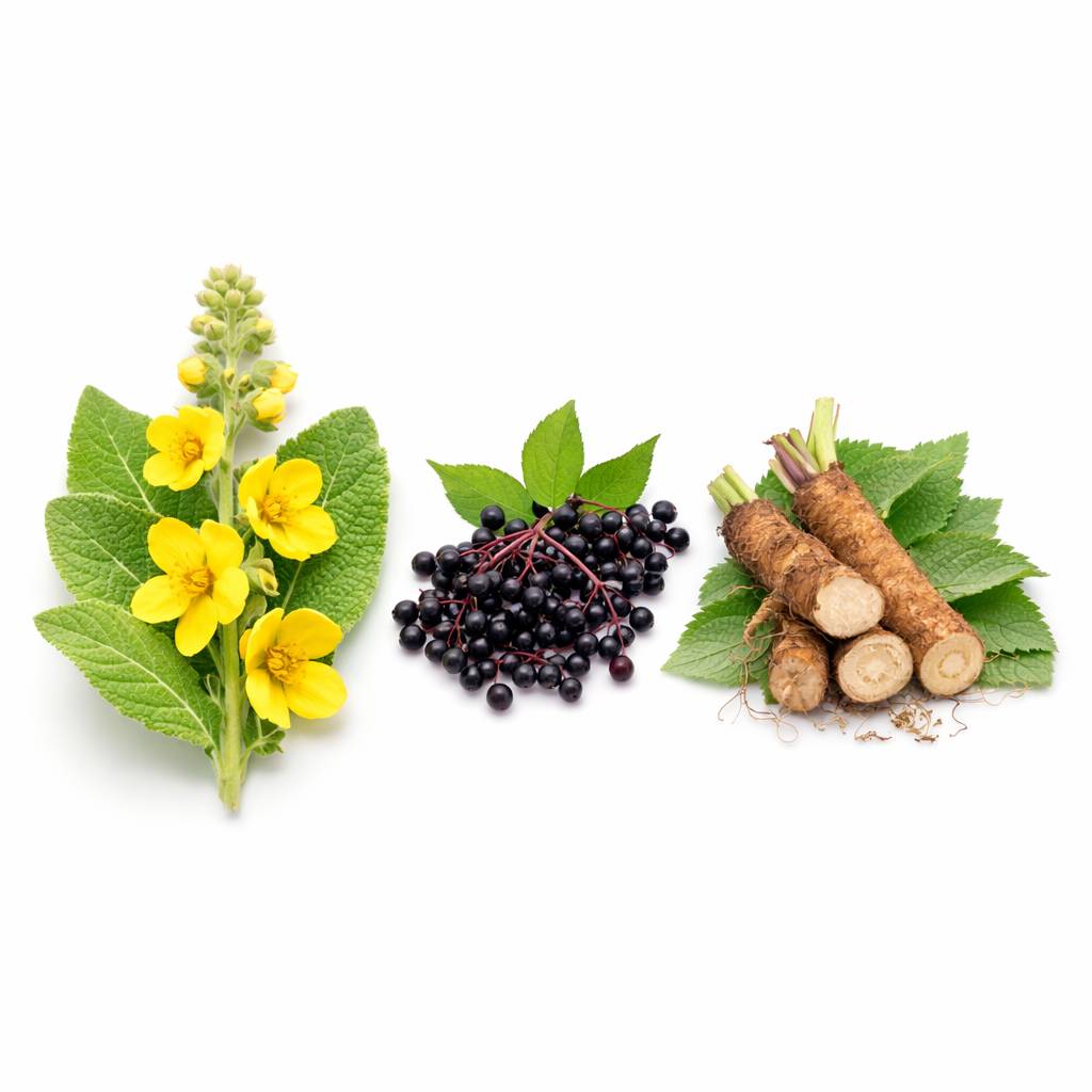 Pulmo Balance ingredients mullein leaf elderberry burdock root natural lung detox support review