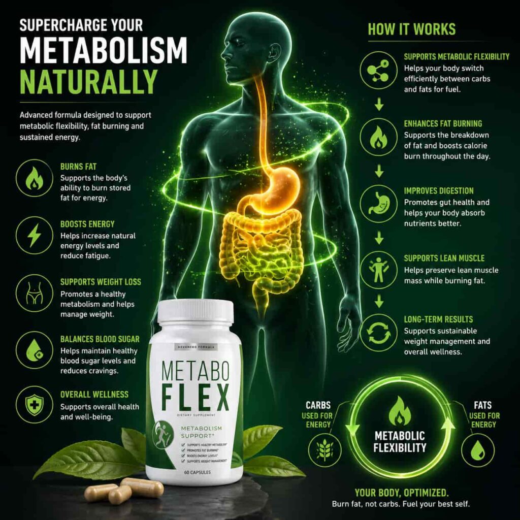 Metabo Flex metabolism infographic showing digestive system fat burning and metabolic flexibility support illustration